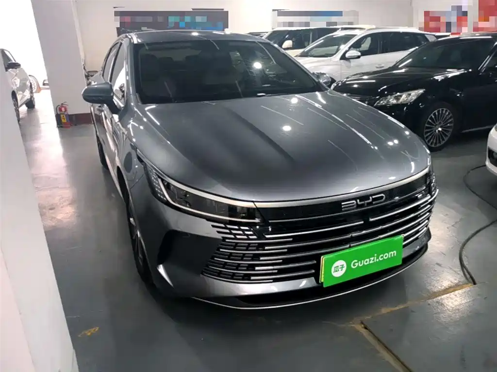 BYD Destroyer 05 2024 Glory Edition DM-i 55KM Luxury фото 4