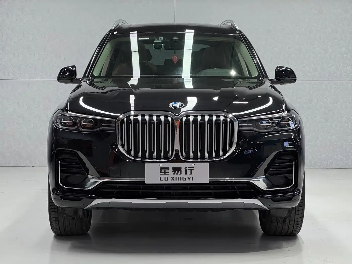 BMW X7 2020 xDrive40i Leading Luxury Package фото 2
