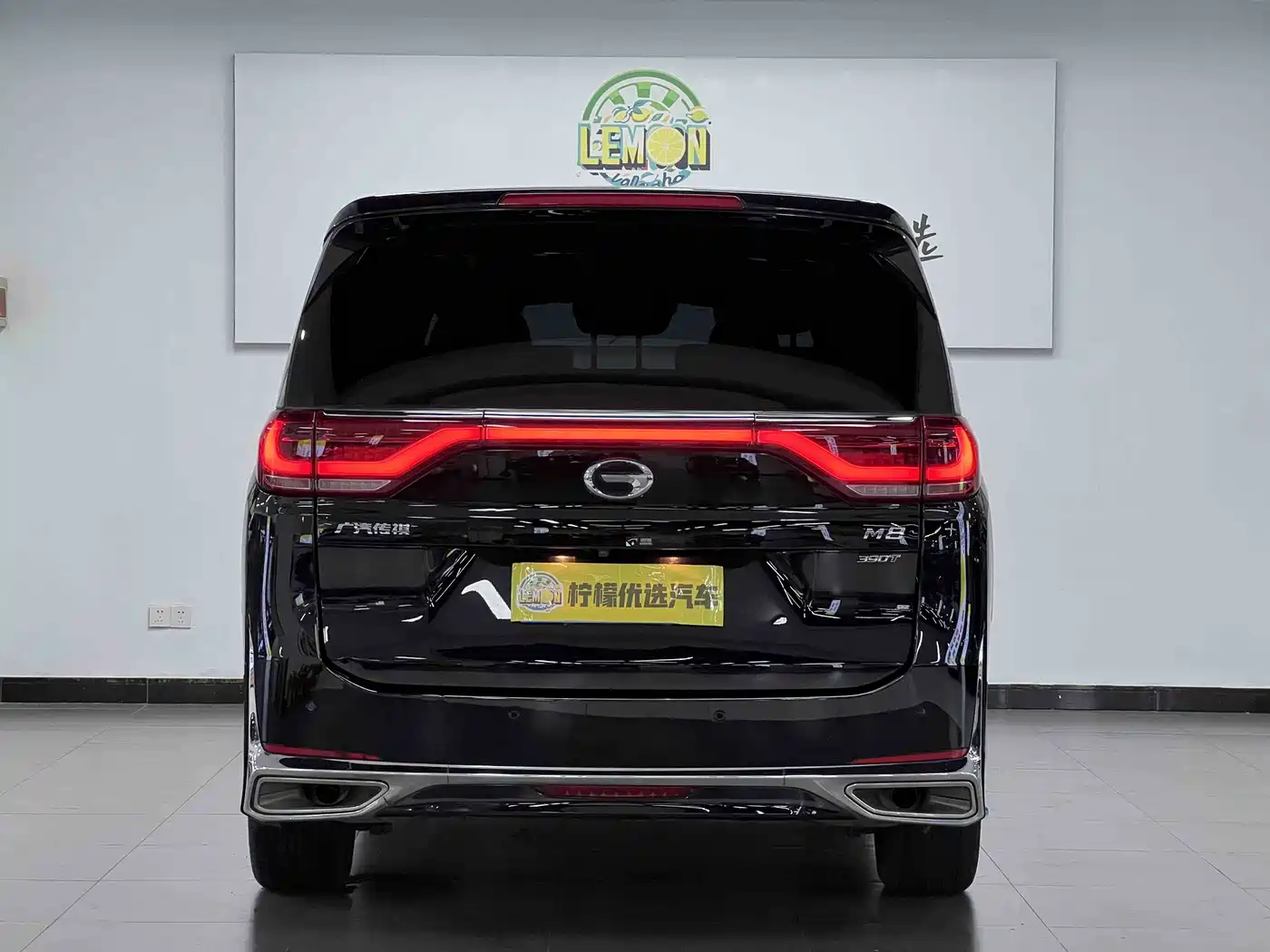GAC Trumpchi Trumpchi M8 2023 Leading Series 390T Prestige Edition фото 5