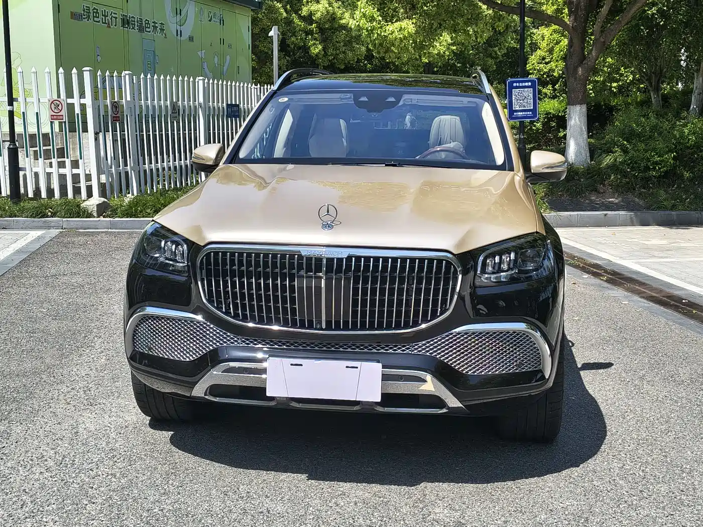 Mercedes-Benz Maybach GLS 2021 GLS 480 4MATIC фото 2