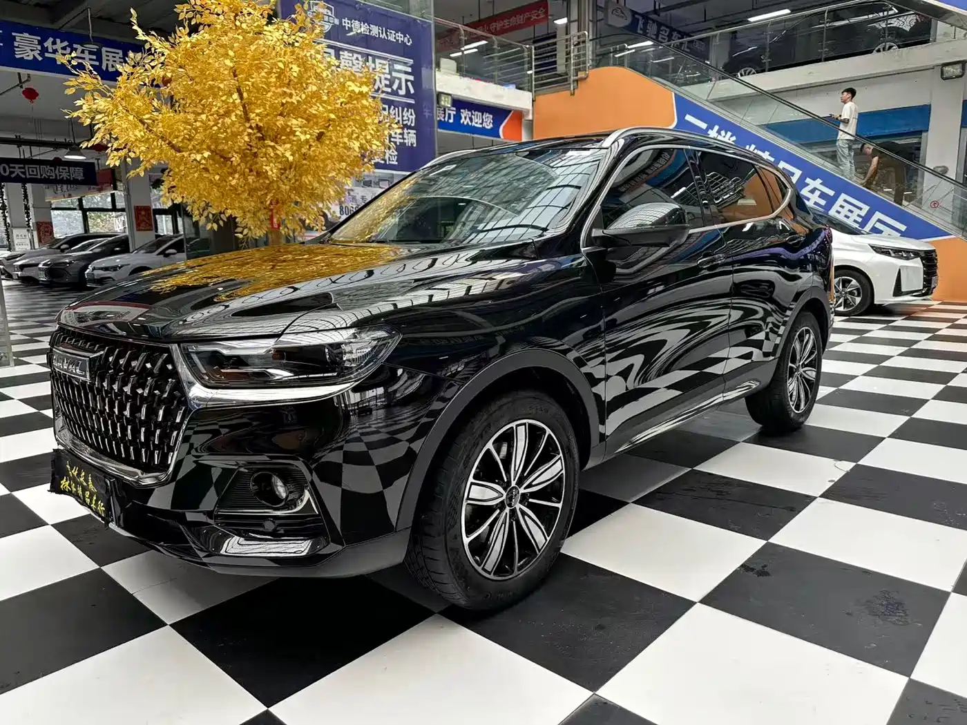 Haval H6 2023 National Trend Edition 1.5T Automatic Champion