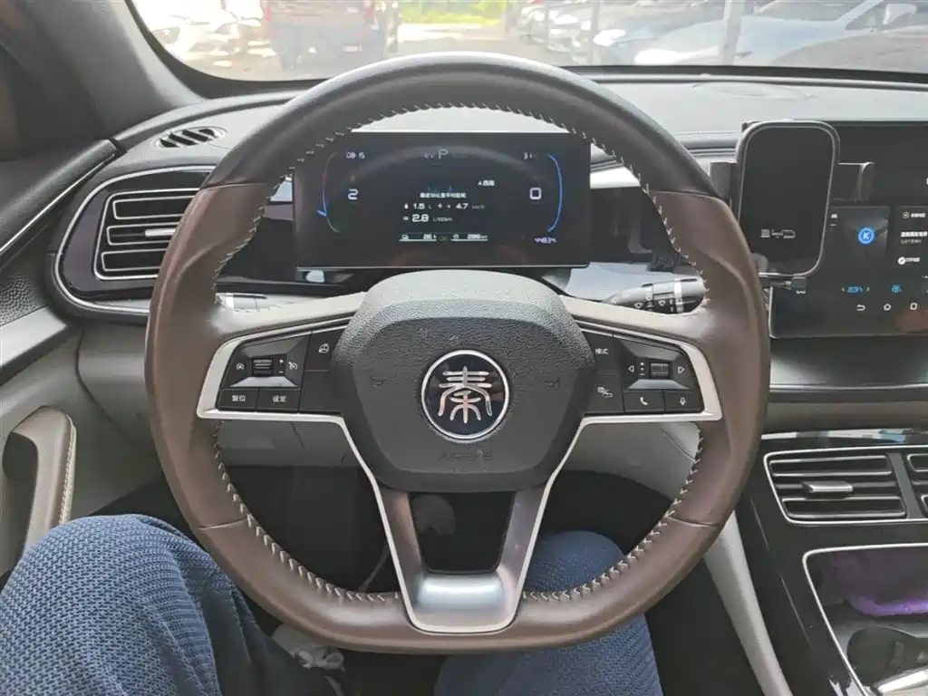 BYD Qin PLUS 2023 Champion Edition DM-i 120KM Excellence фото 11