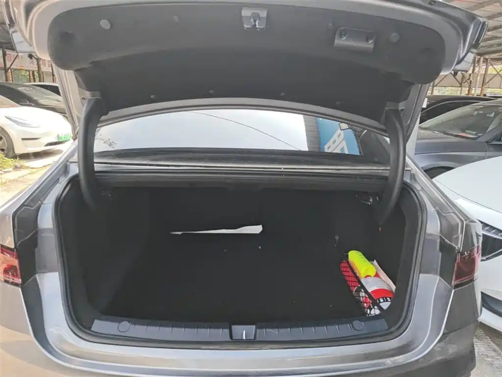 BYD Qin PLUS 2023 Champion Edition DM-i 120KM Excellence фото 19