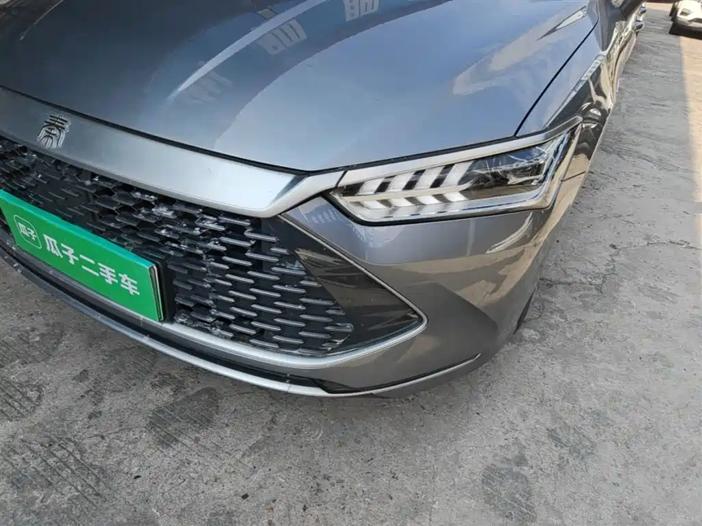 BYD Qin PLUS 2023 Champion Edition DM-i 120KM Excellence фото 24