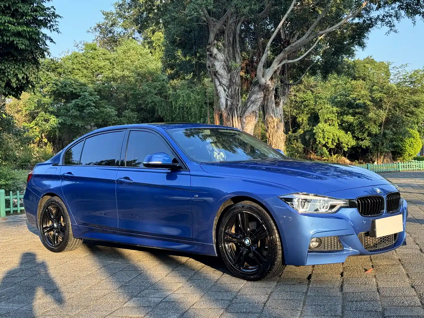 BMW 3 Series 2018 320Li Leading M Sport Package фото 3