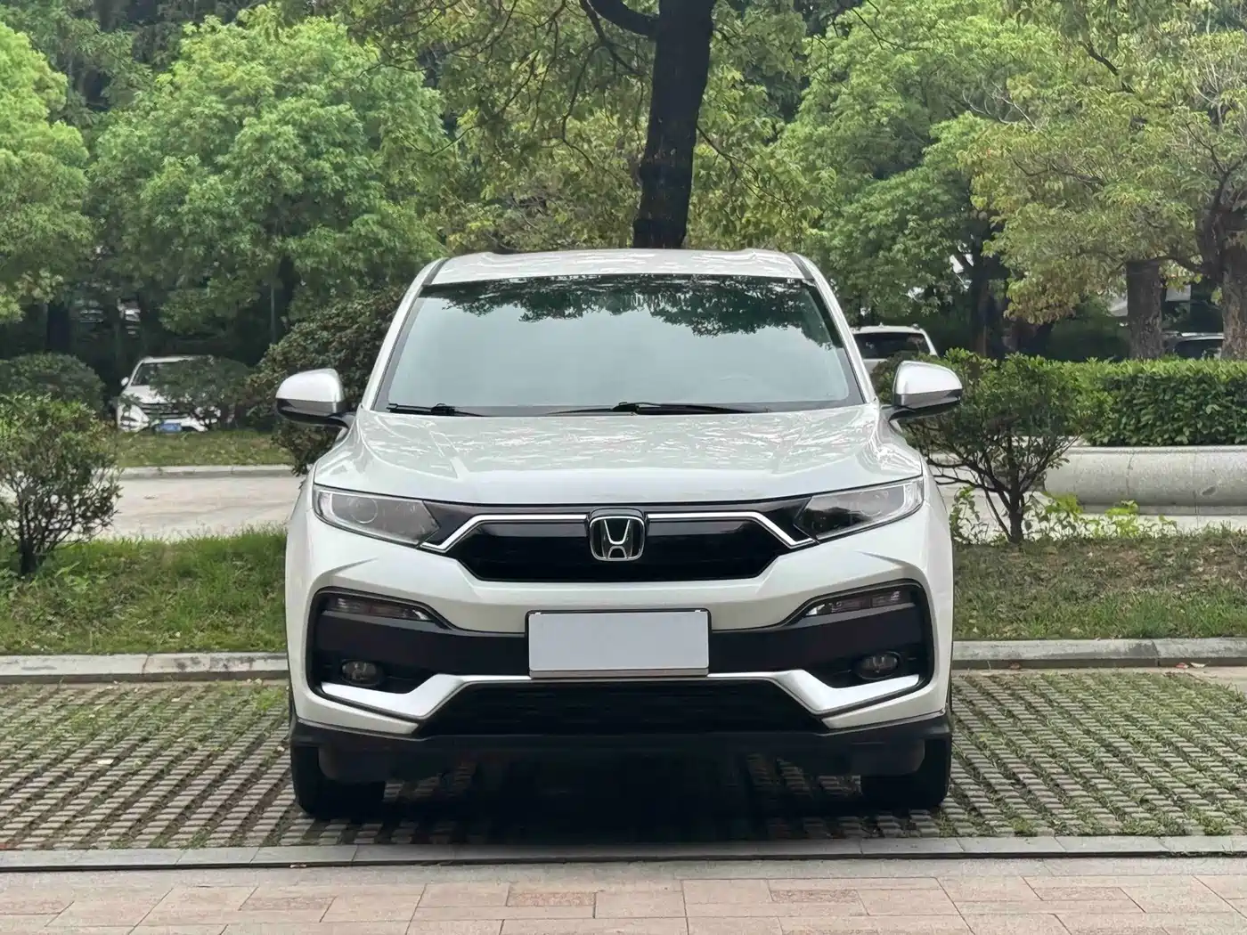 Фото 3 - Honda XR-V