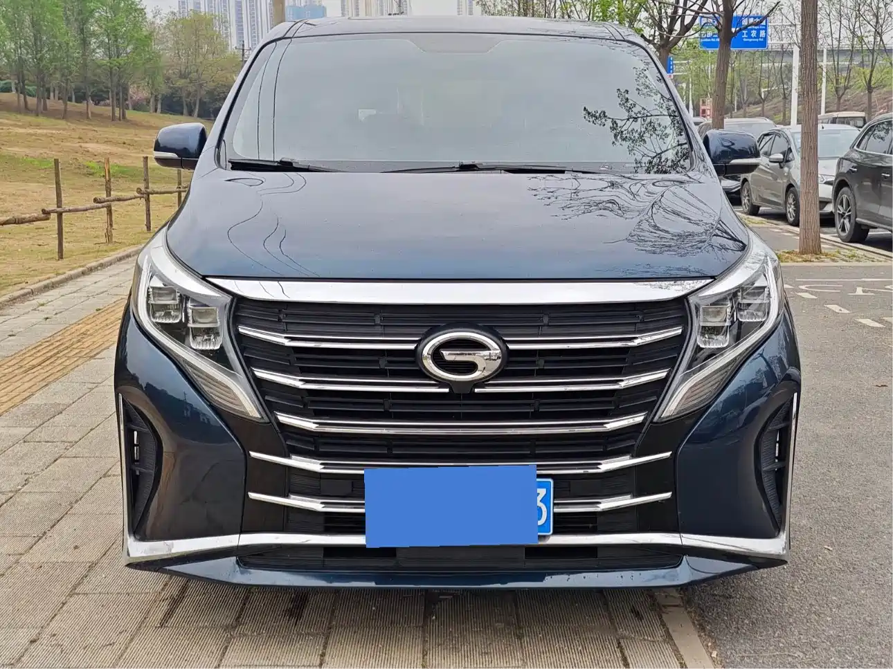 GAC Trumpchi Trumpchi M8 2021 Leading Show Series 390T Premium Edition фото 2