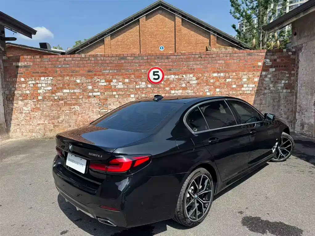 BMW 5 Series 2021 530Li Premium M Sport Package фото 3