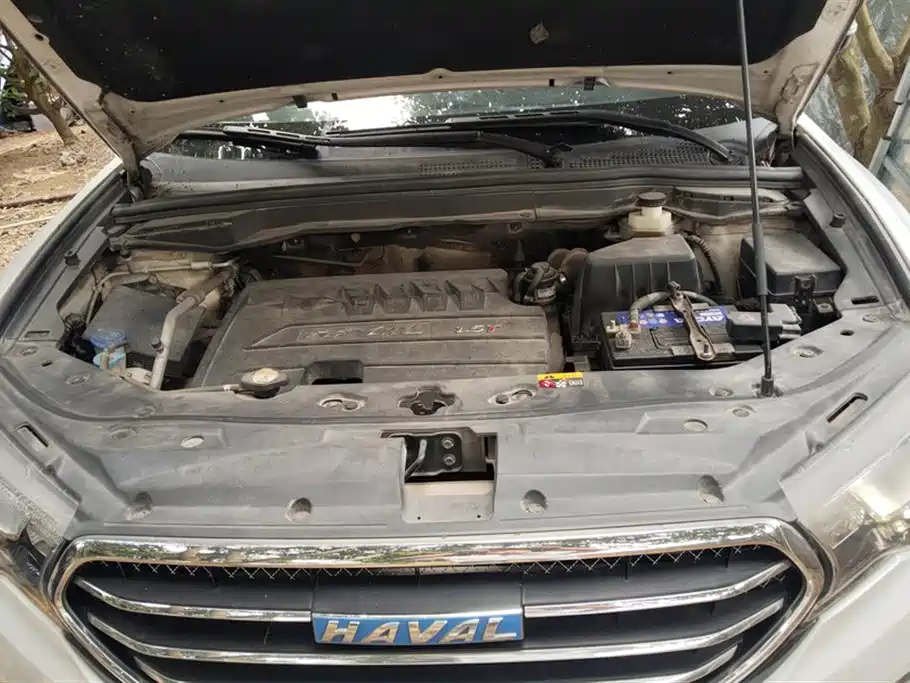 Haval H6 Coupe 2016 Blue Label 1.5T Automatic 2WD Elite фото 10