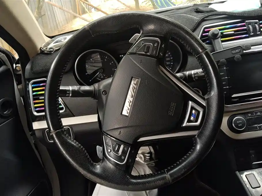 Haval H6 Coupe 2016 Blue Label 1.5T Automatic 2WD Elite фото 15