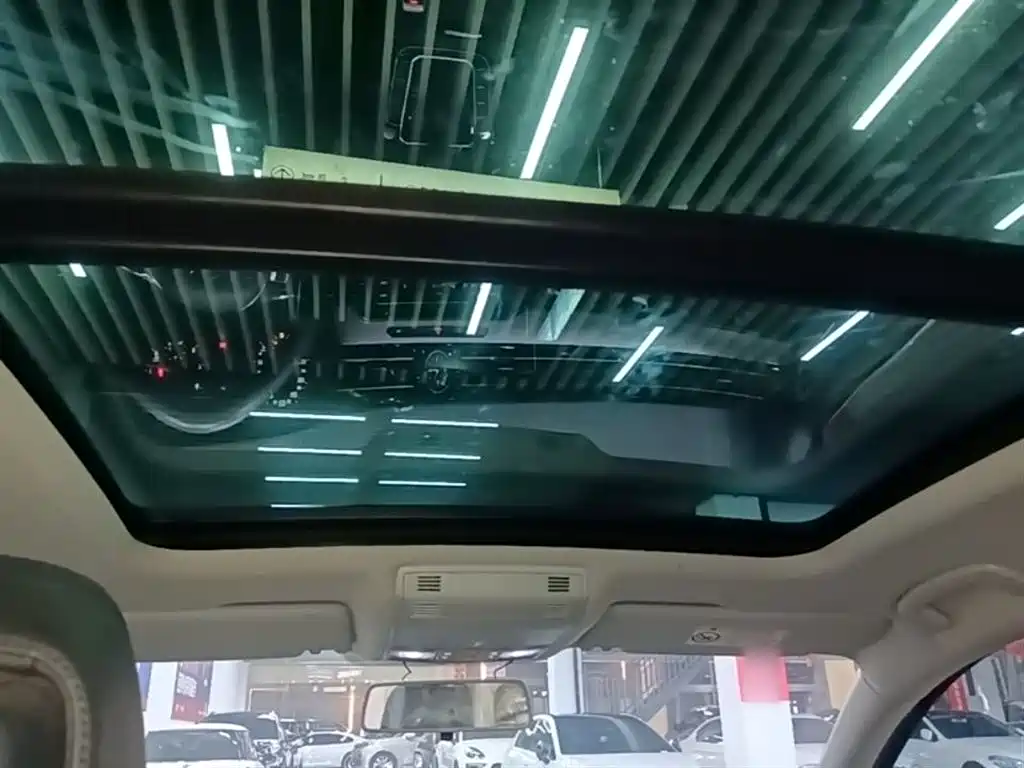 Volkswagen Magotan 2019 330TSI DSG Leading China V фото 18