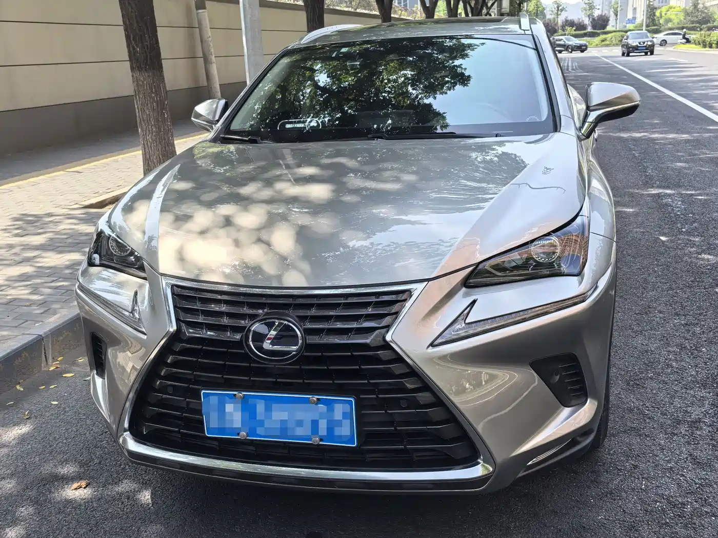 Lexus NX 2020 300h FWD F Sport China V фото 2