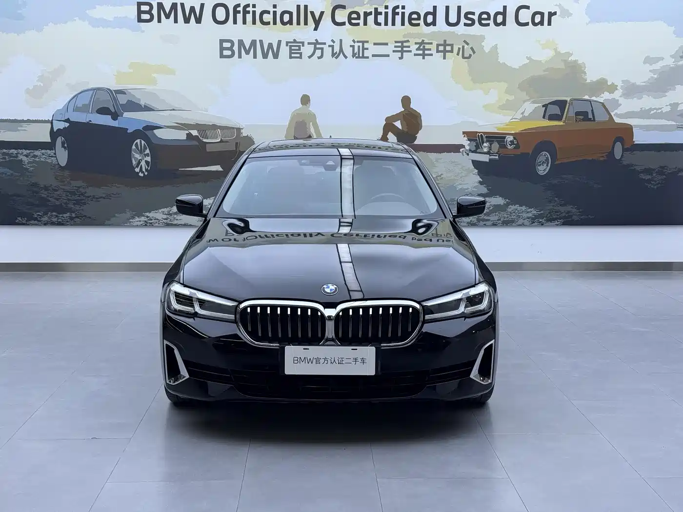 BMW 5 SERIES NEW ENERGY