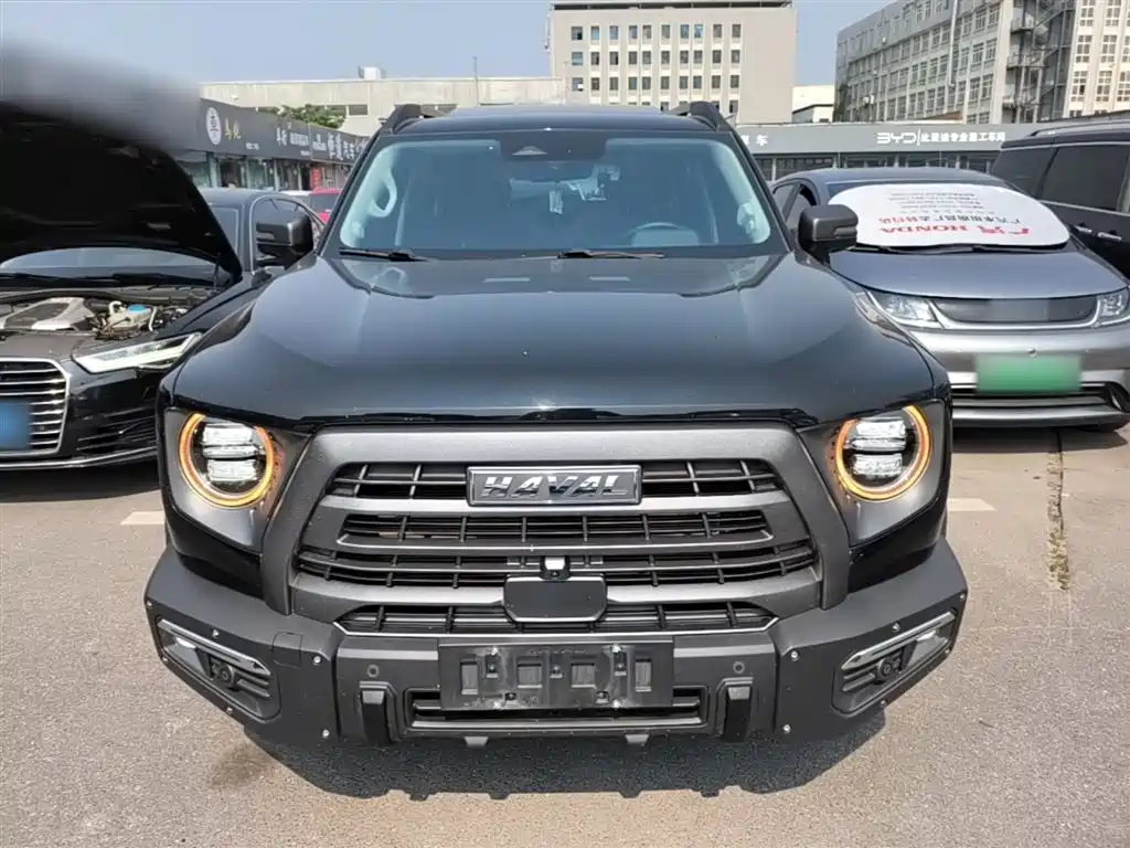 Haval Big Dog 2022 2.0T DCT 4WD Chinese Rural Dog Hunting Edition фото 3