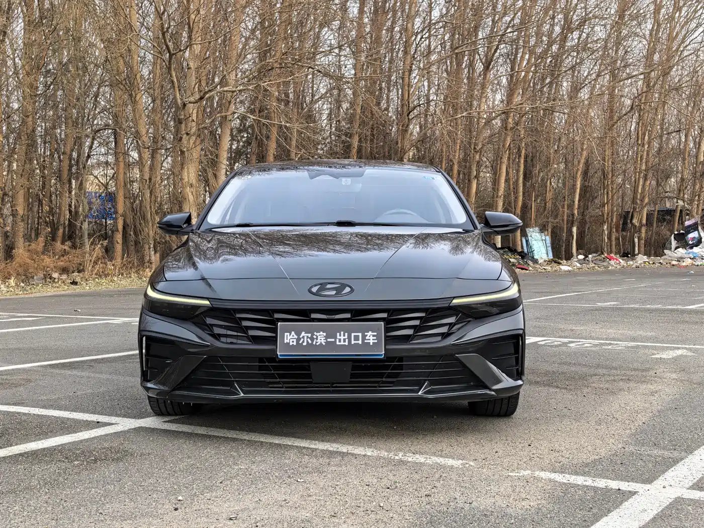 Hyundai Elantra 2023 Model 1.5L CVT LUX Premium Edition фото 2