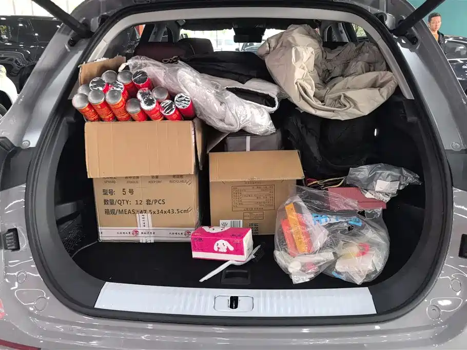 Hongqi HS5 2023 2.0T 4WD Flag Leader Pro фото 4