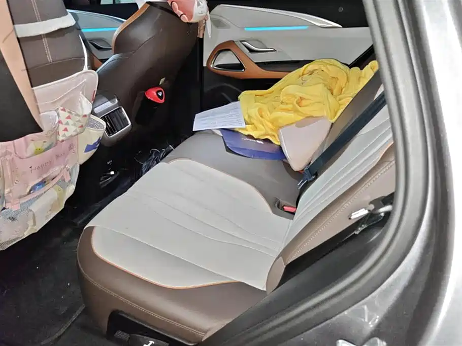 BYD Song Pro New Energy 2023 Champion Edition DM-i 110KM Excellence фото 11