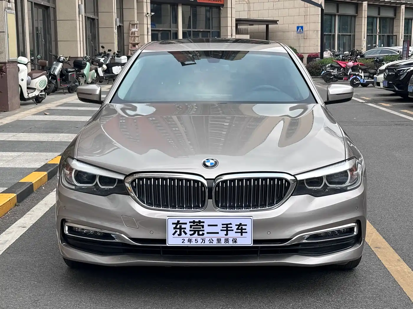 BMW 5 Series 2019 530Li Leading Luxury Package фото 3