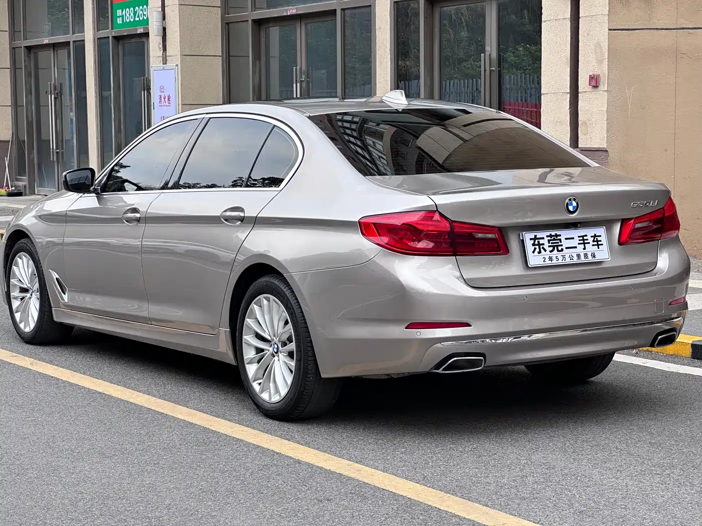 BMW 5 Series 2019 530Li Leading Luxury Package фото 11