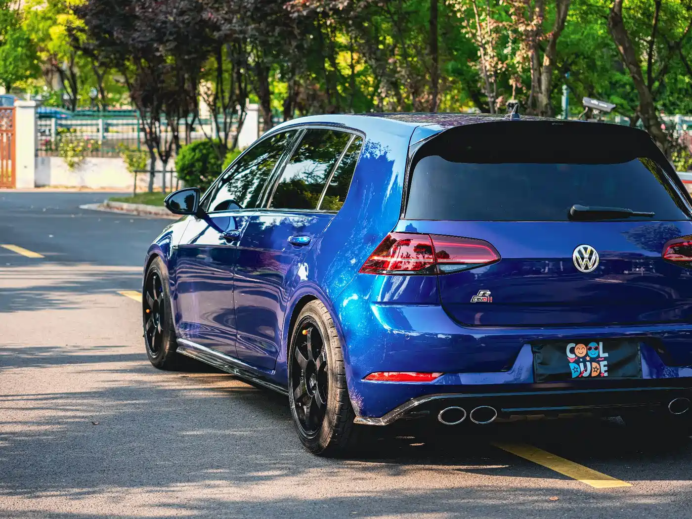 Volkswagen Golf (Import) 2017 2.0TSI R фото 6