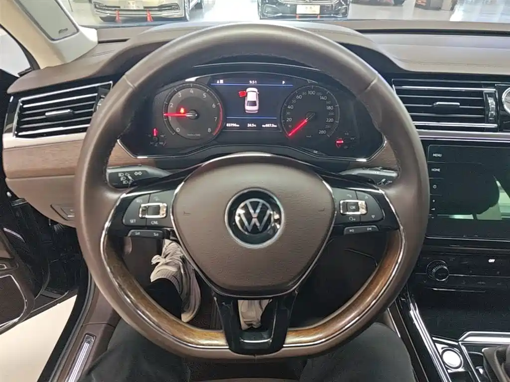 Volkswagen Phideon 2021 380TSI Premium Edition фото 11