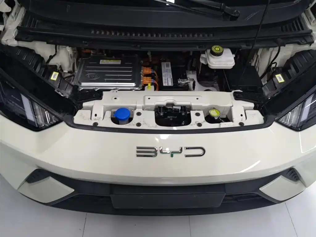 BYD Seagull 2023 Flying Edition фото 20