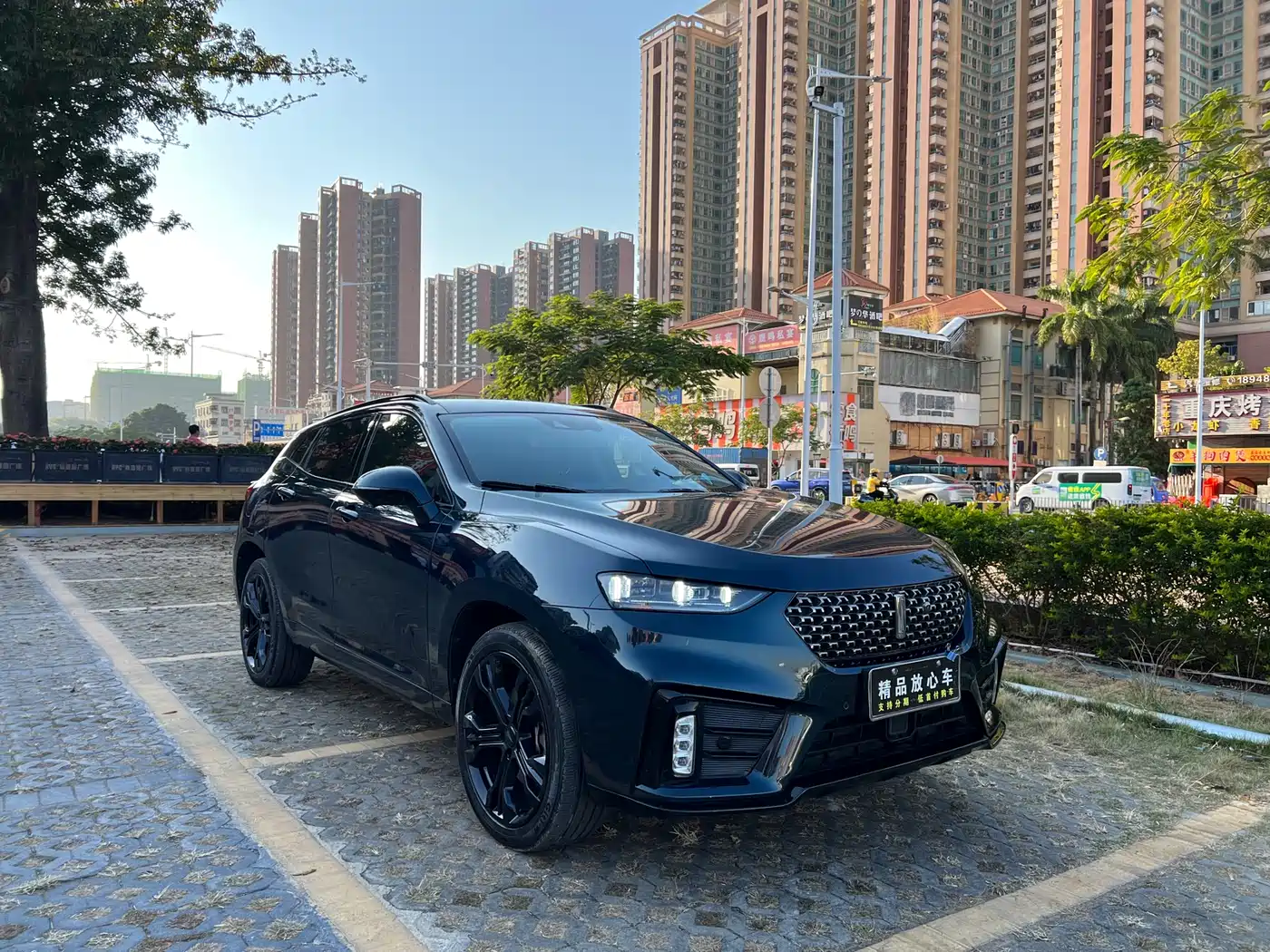 WEI PAI WEI BRAND VV7