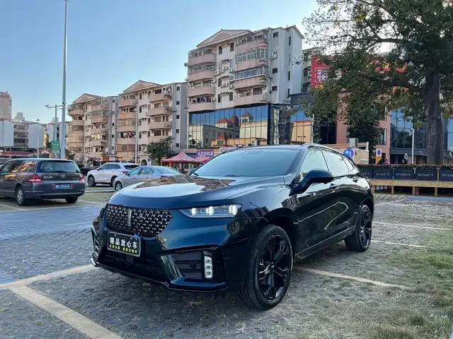 WEI PAI WEI BRAND VV7