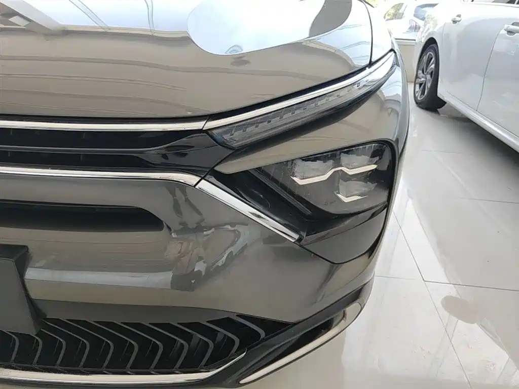Фото 24 - Citroën Versailles C5 X
