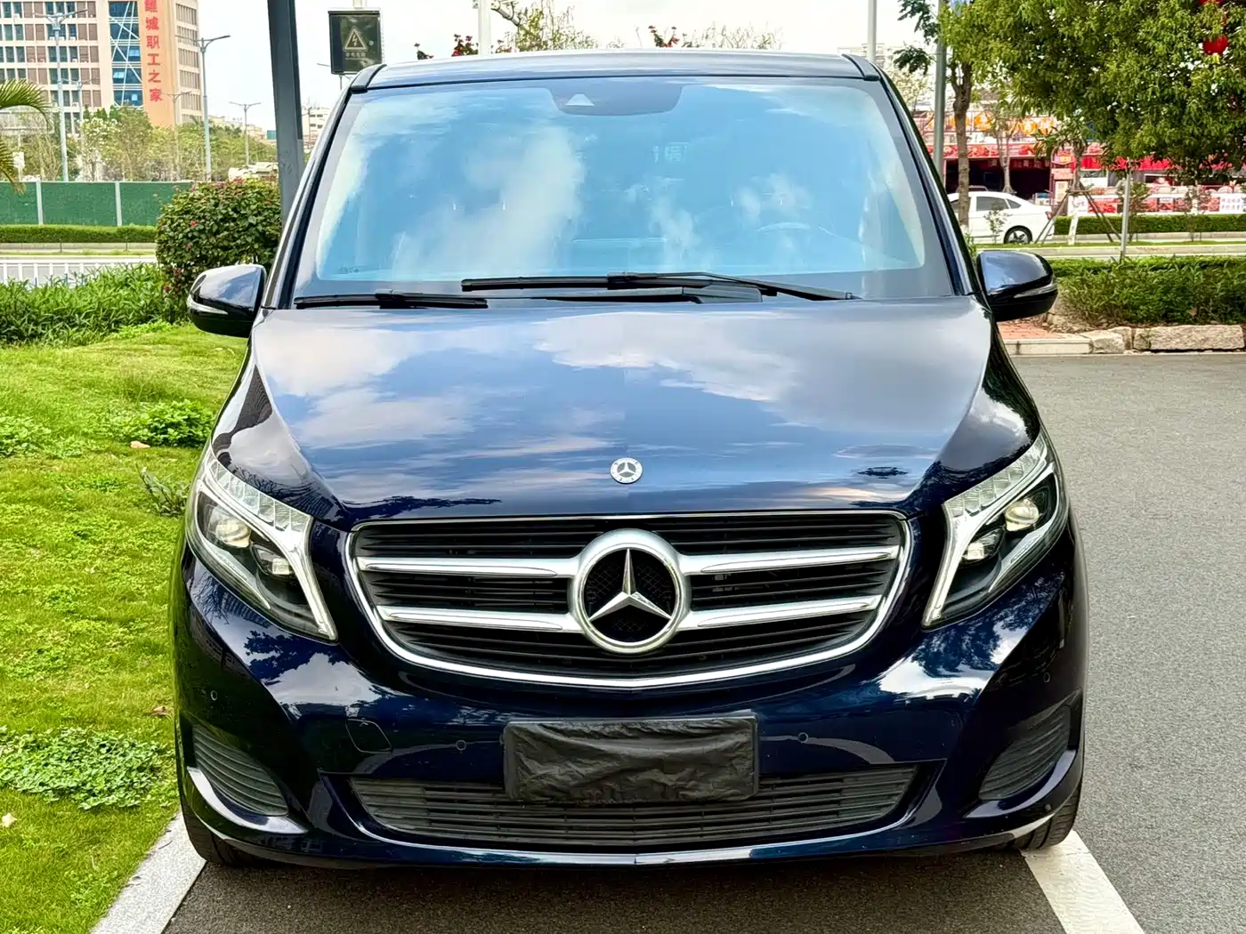 Mercedes-Benz V-Class 2018 V 260 Pilot Edition China V фото 2