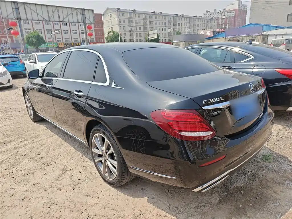 Mercedes-Benz E-Class 2019 E 200 L фото 8