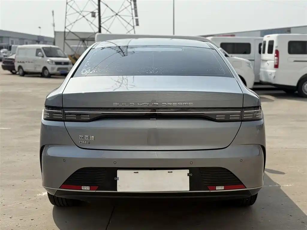 BYD Destroyer 05 2024 Glory Edition DM-i 55KM Luxury фото 4