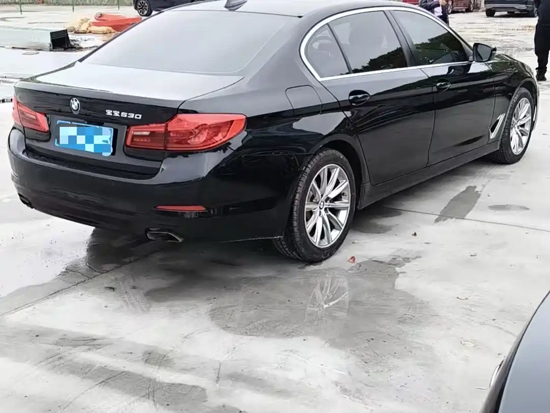BMW 5 Series 2018 528Li Launch Special Edition фото 6