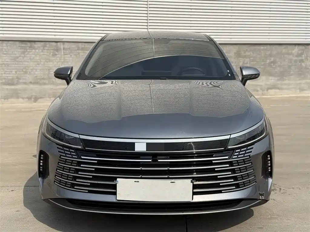 BYD Destroyer 05 2024 Glory Edition DM-i 55KM Luxury фото 2