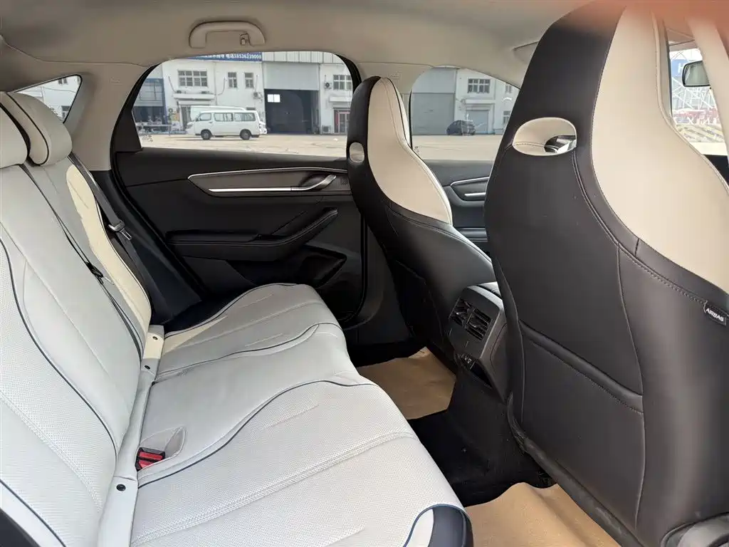 BYD Destroyer 05 2024 Glory Edition DM-i 55KM Luxury фото 15