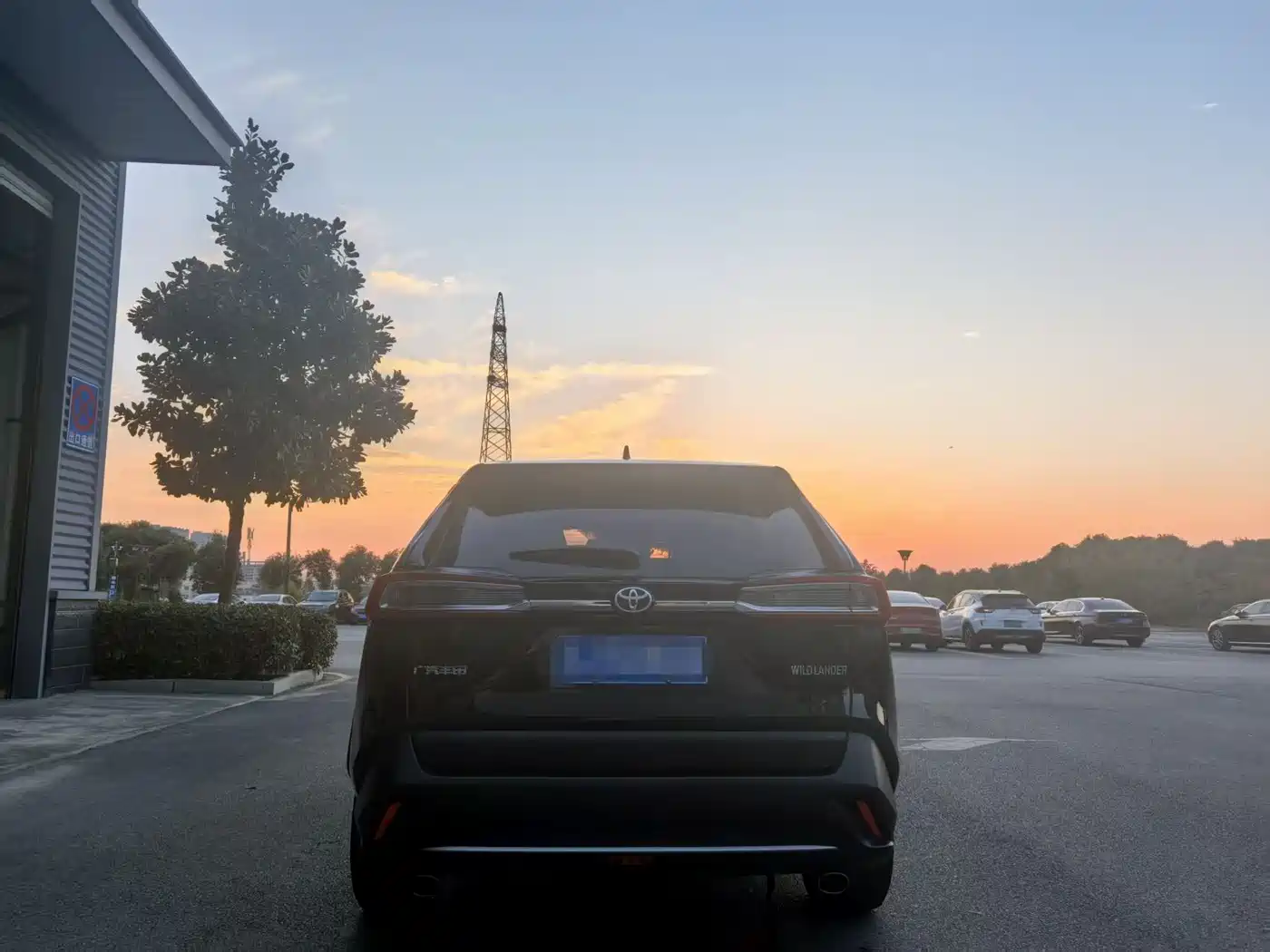 Toyota Wildlander 2021 2.0L CVT 2WD Luxury Edition фото 3