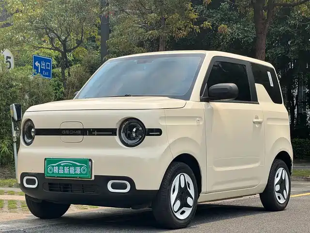 GEELY GALAXY PANDA