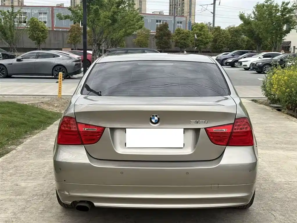 BMW 3 Series 2010 318i Progressive фото 12