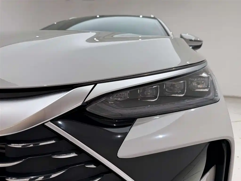 BYD Tang New Energy 2022 DM-p 215KM AWD Flagship фото 2