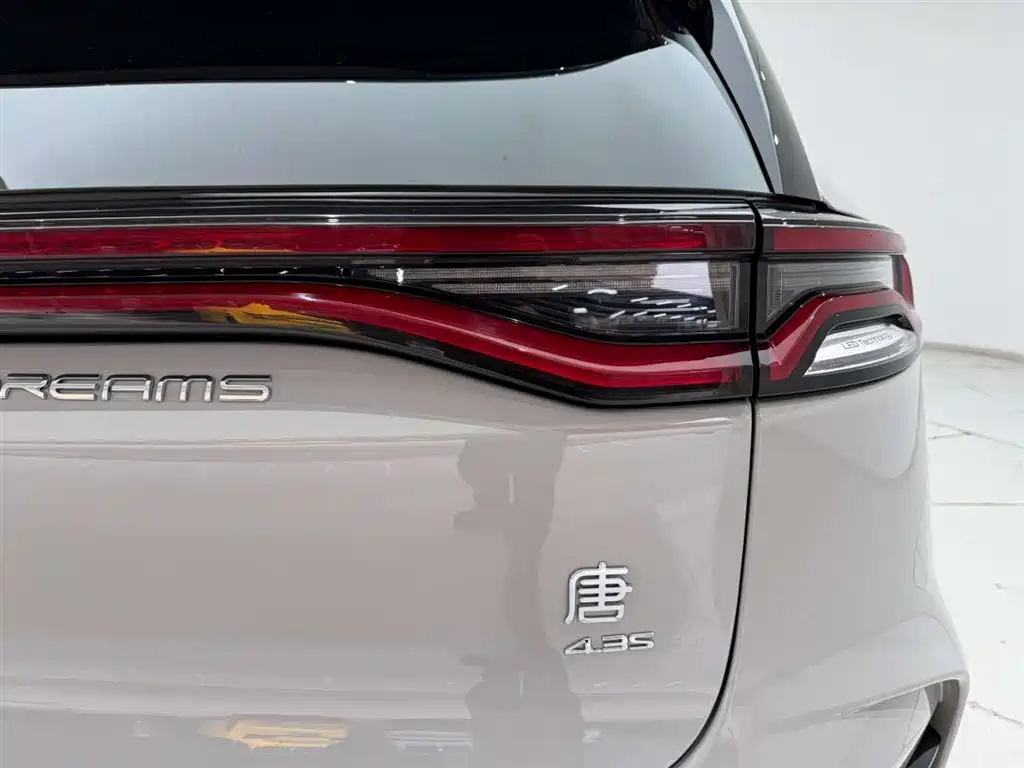BYD Tang New Energy 2022 DM-p 215KM AWD Flagship фото 10