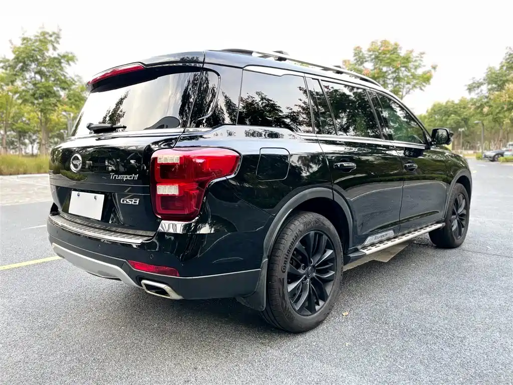 GAC Trumpchi Trumpchi GS8 2017 320T 2WD Luxury Smart Connect (7-seater) фото 16