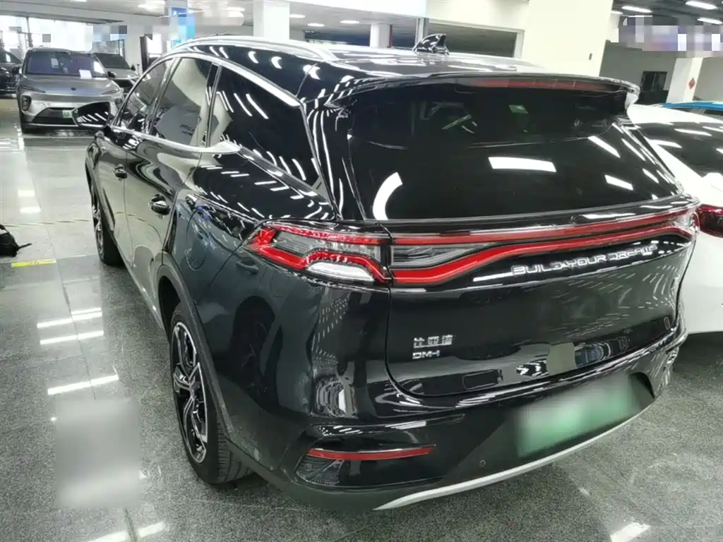 BYD Tang New Energy 2021 DM-i 112KM Honor фото 5