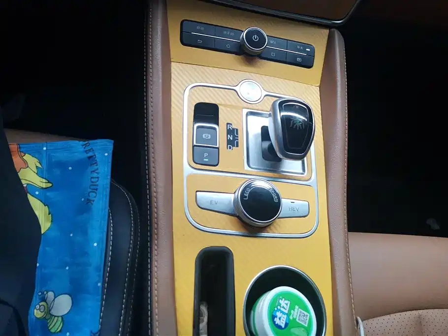 BYD QINXIN ENERGY