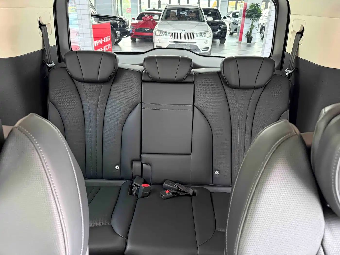 Hongqi HQ9 PHEV 2024 Model 2.0T AWD Luxury Edition фото 9