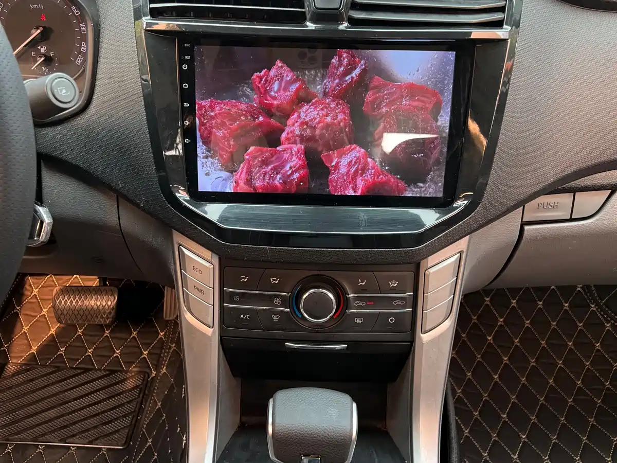 SAIC MAXUS CHASE T60