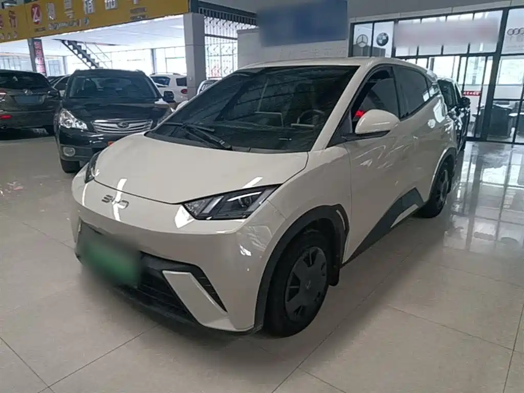 BYD Seagull 2024 Glory Edition 305km Vitality Edition фото 2