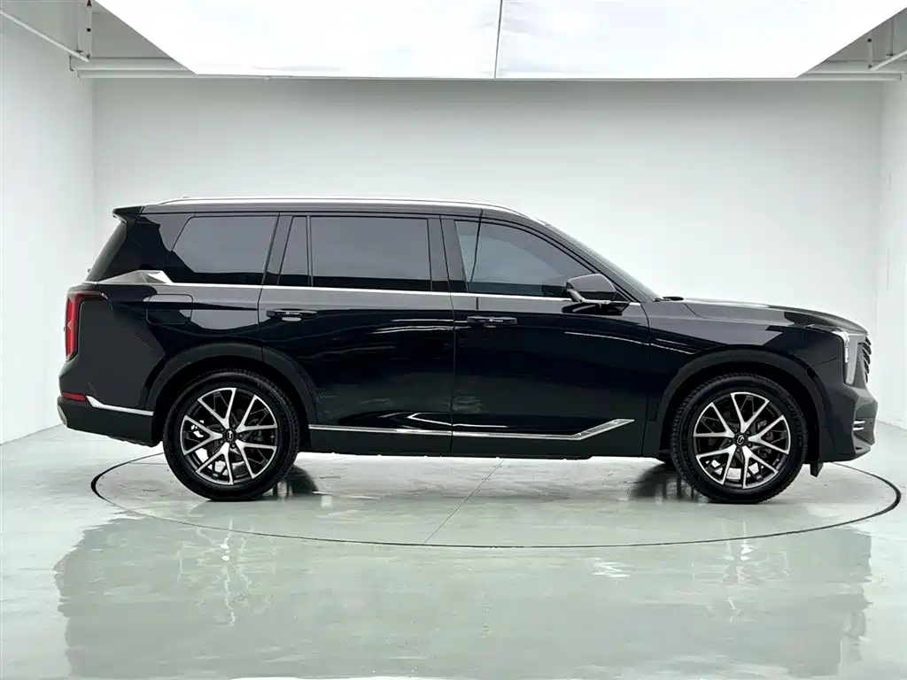 GAC Trumpchi Trumpchi GS8 2025 Pilot Series 2.0TGDI 2WD Luxury Edition 5-seater фото 7