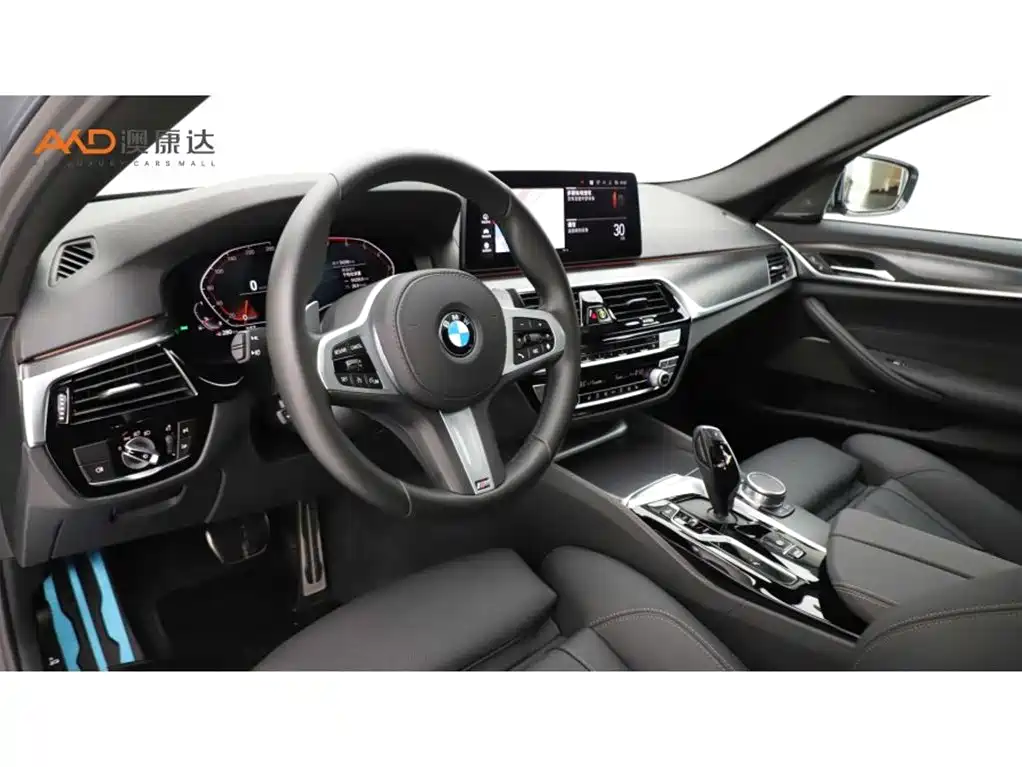 BMW 5 Series (Import) 2021 530i M Sport Package фото 6