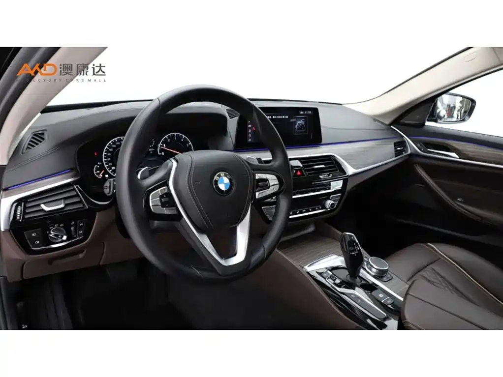 BMW 5 Series 2019 Facelift 530Li Premium Luxury Package фото 6