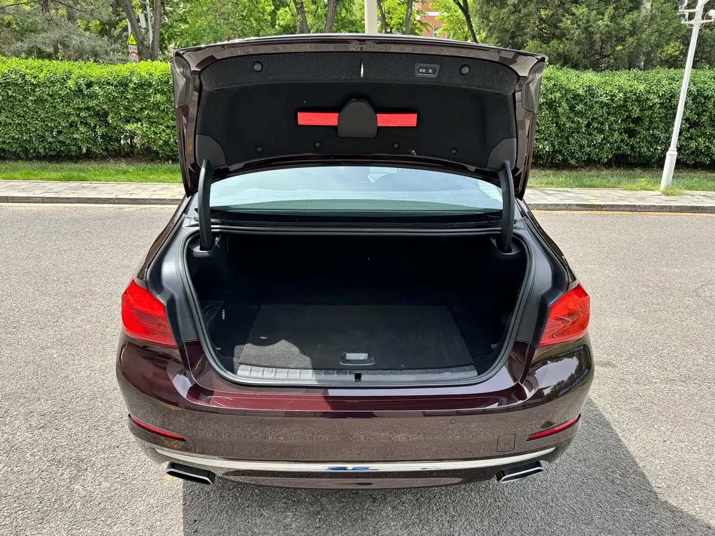 BMW 5 Series New Energy 2019 Facelift 530Le Luxury Package фото 6